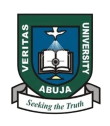 Veritas University